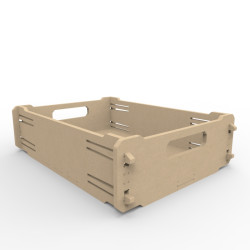 Caja organizadora desarmable